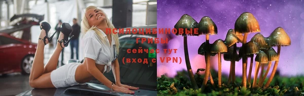 бошки Волоколамск