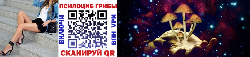 Галлюциногенные грибы прущие грибы  Каргополь 